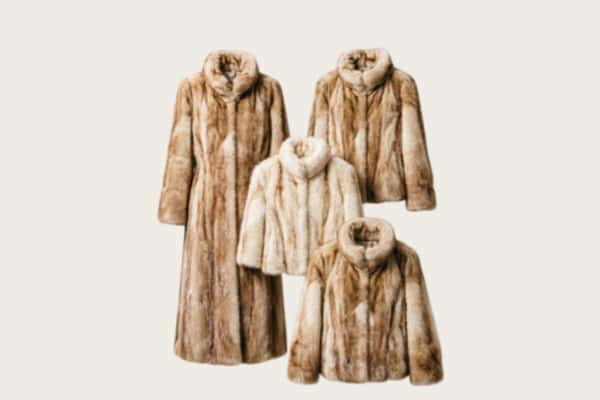 金阳县回收皮草衣服